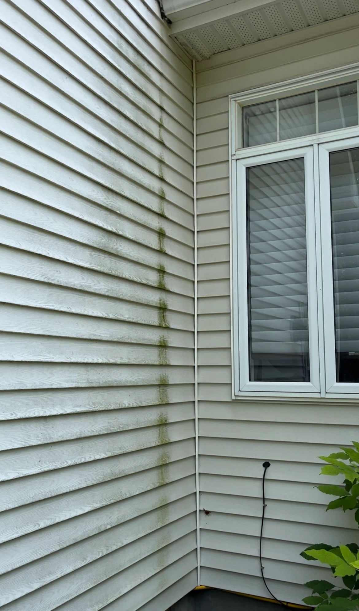 Lavevite residential lavage